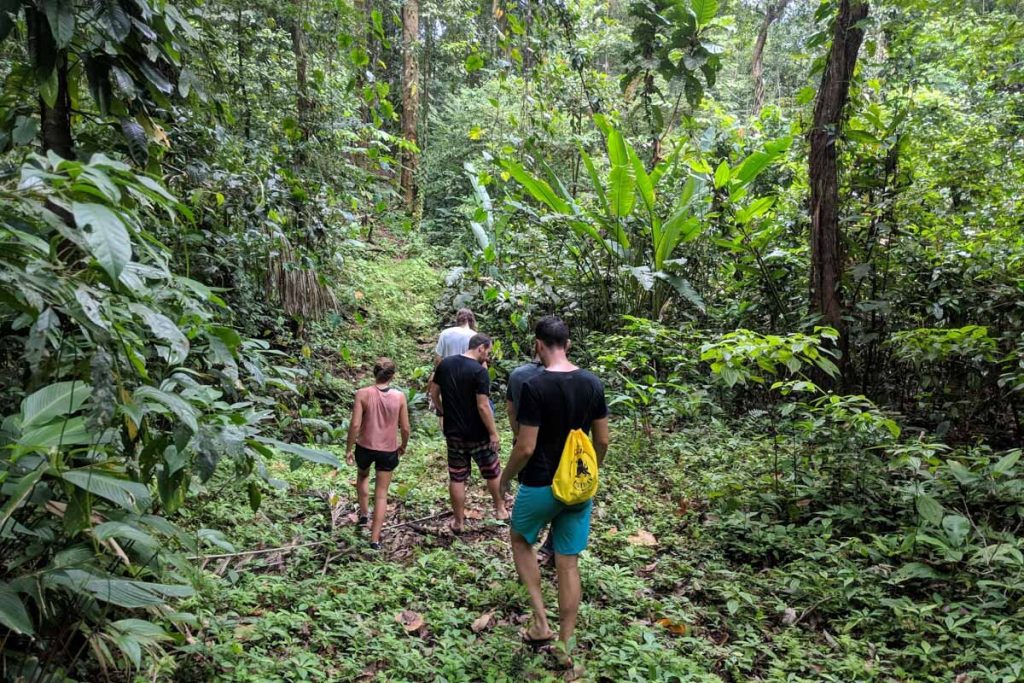 巴拿马博卡斯德尔托罗丛林徒步旅行